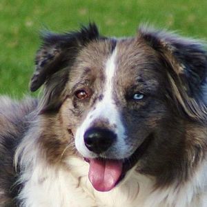 Meet your Posher, Lynn